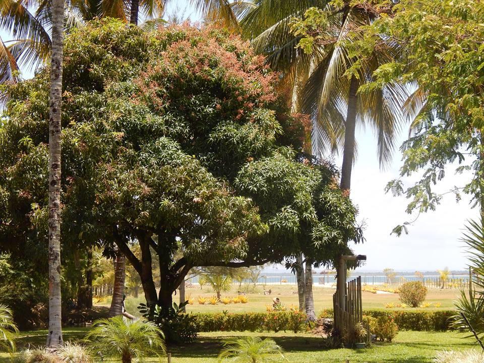 Pousada Aguazul Maraú Exterior foto